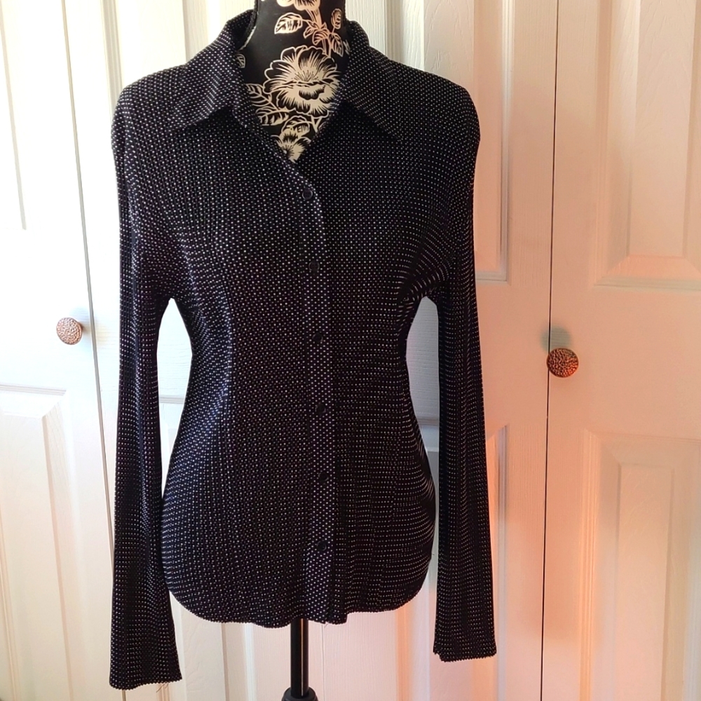 Form Fitting Dressy Button Down Blouse